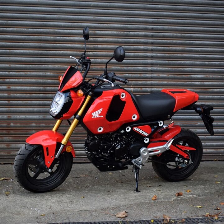 honda grom
